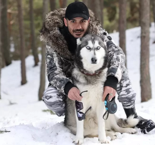disi-erkek-yavru-husky-yavrulari-pet-shop-galeri-ankara