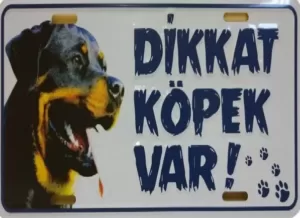 satilik-rottweiler-rotvaydir-ciftligi-disi-erkek-husky-french-bulldog-yavrulari